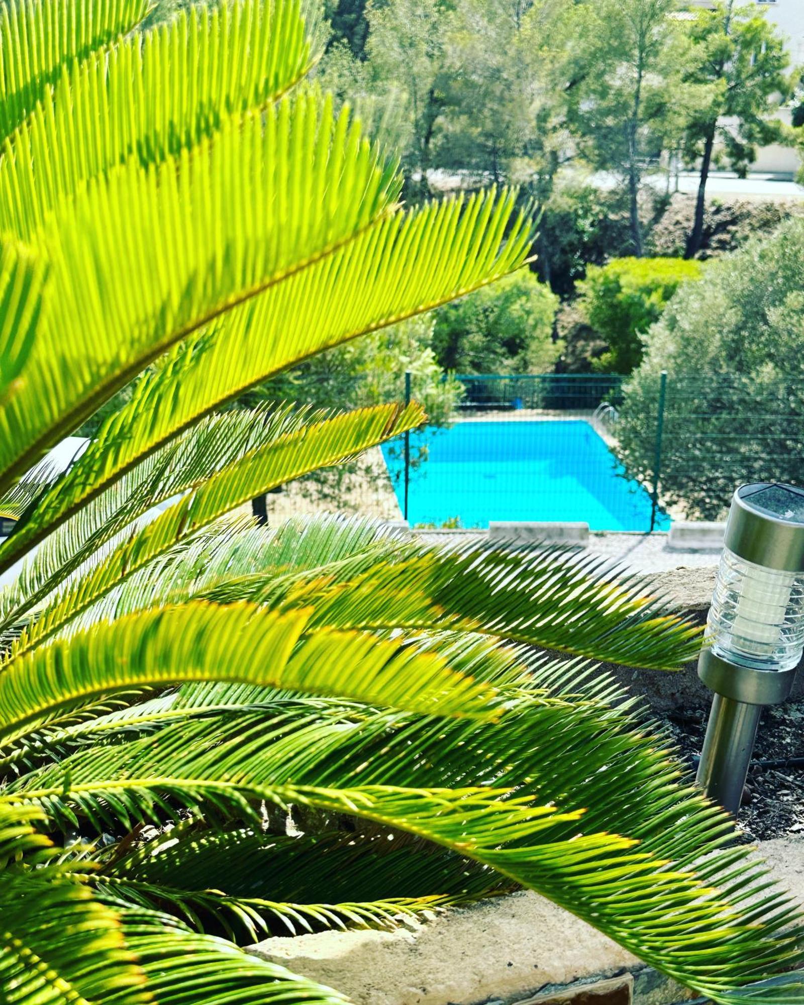 Vuemer Bandol - Grande Terrasse De 45M2 Vue Mer Piscine Parking Exterior photo
